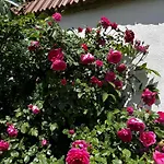 Bauernhofwohnung Апартаменты Фридрихсхафен